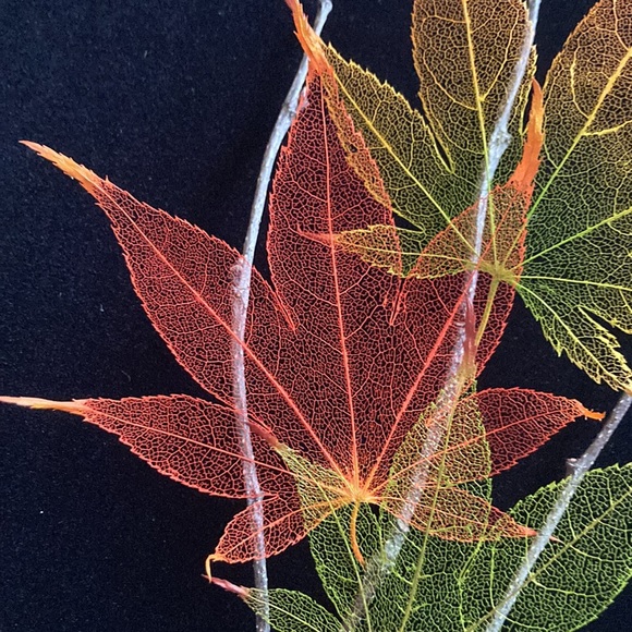 Japanese Maple Leaf Lines Framed Art - Picture 9 of 10